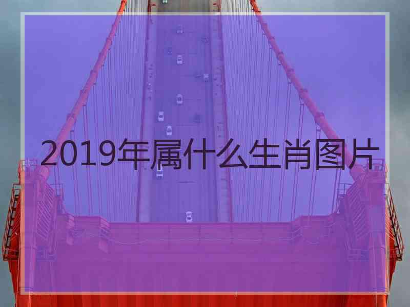 2019年属什么生肖图片