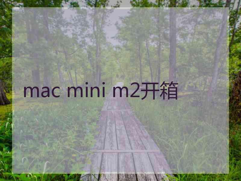 mac mini m2开箱