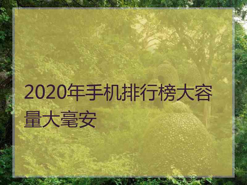 2020年手机排行榜大容量大毫安