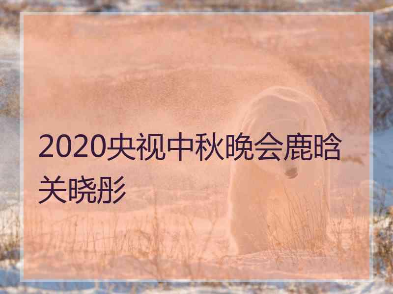 2020央视中秋晚会鹿晗关晓彤