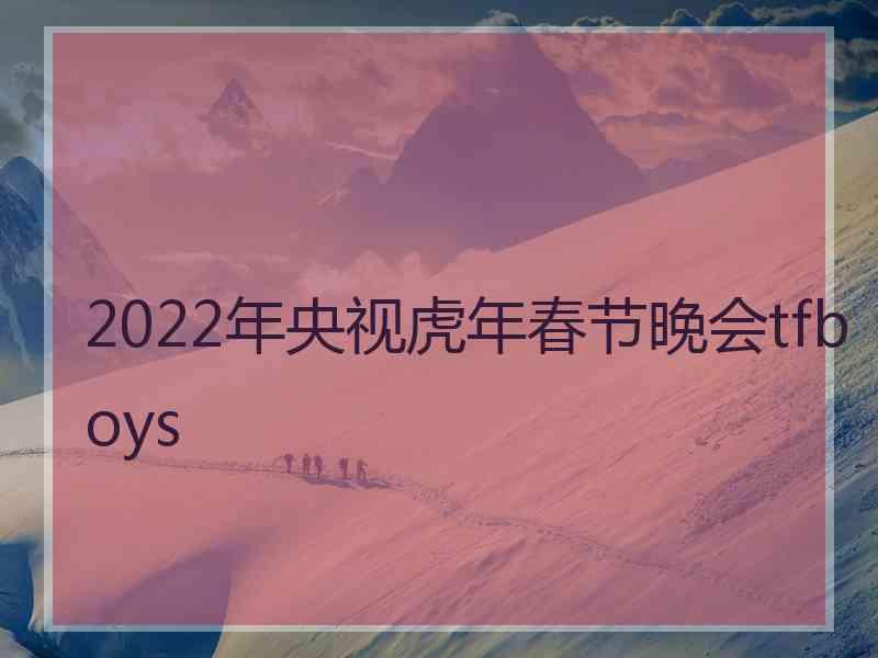 2022年央视虎年春节晚会tfboys