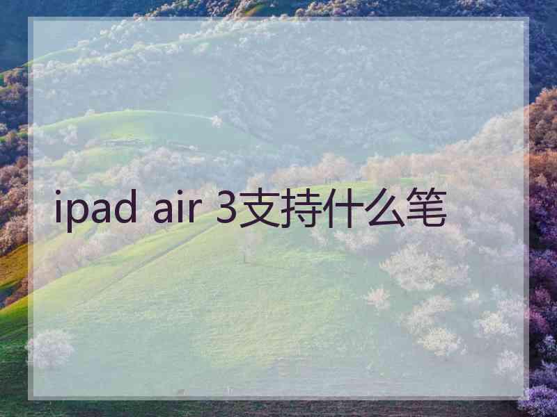 ipad air 3支持什么笔