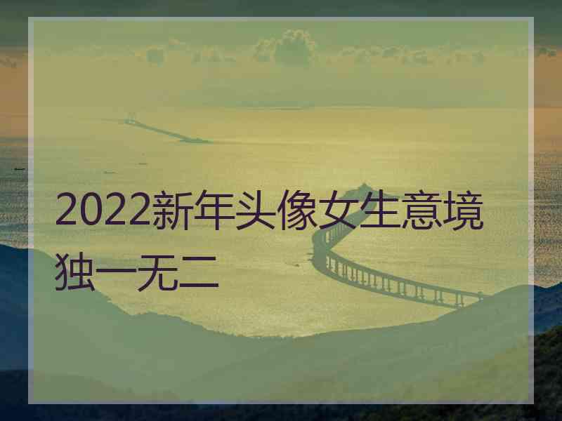 2022新年头像女生意境独一无二