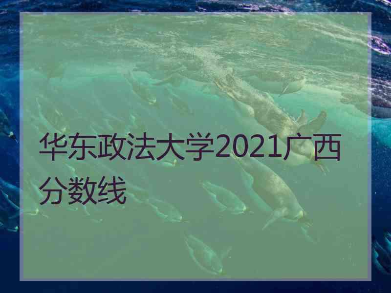 华东政法大学2021广西分数线