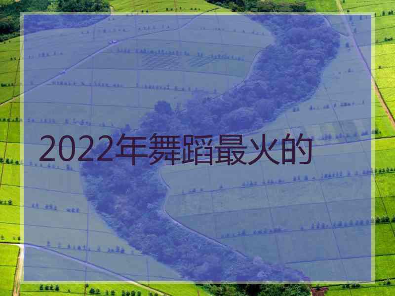 2022年舞蹈最火的