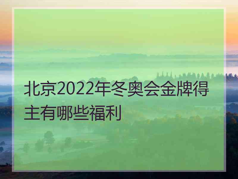 北京2022年冬奥会金牌得主有哪些福利