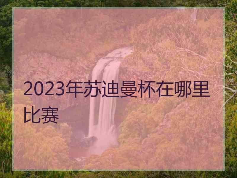 2023年苏迪曼杯在哪里比赛