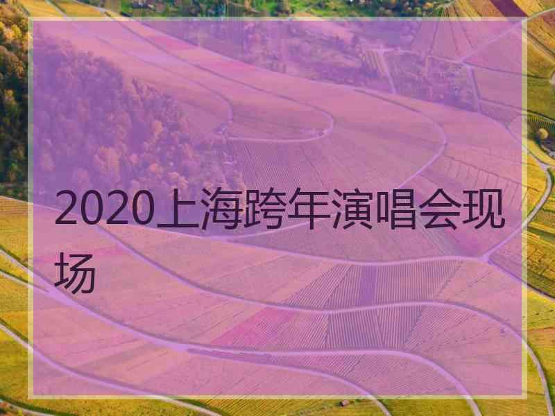 2020上海跨年演唱会现场