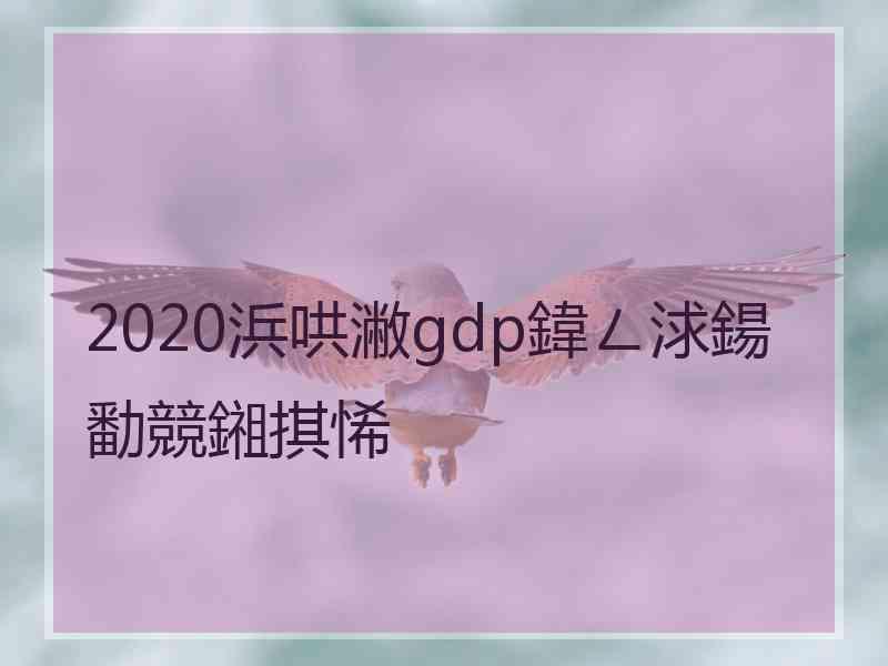 2020浜哄潎gdp鍏ㄥ浗鍚勫競鎺掑悕