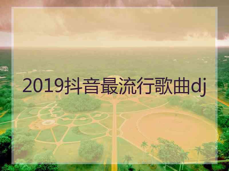 2019抖音最流行歌曲dj