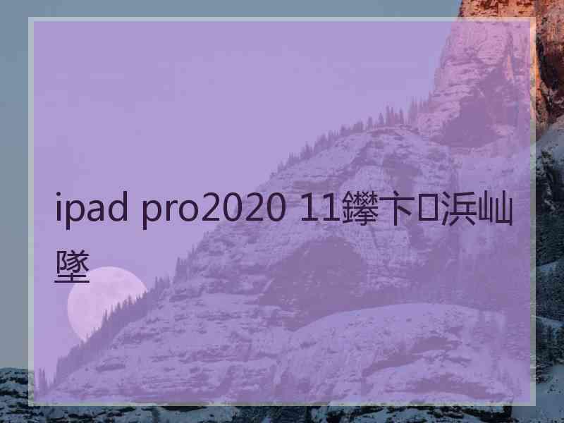 ipad pro2020 11鑻卞浜屾墜