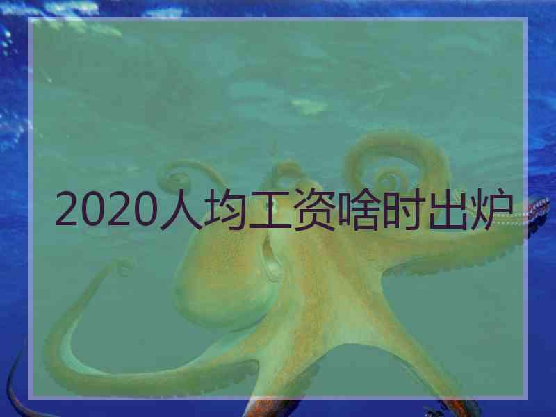 2020人均工资啥时出炉