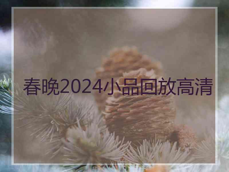 春晚2024小品回放高清