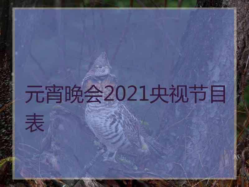 元宵晚会2021央视节目表