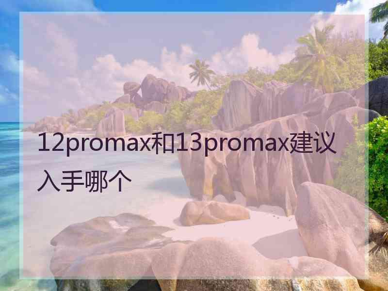 12promax和13promax建议入手哪个