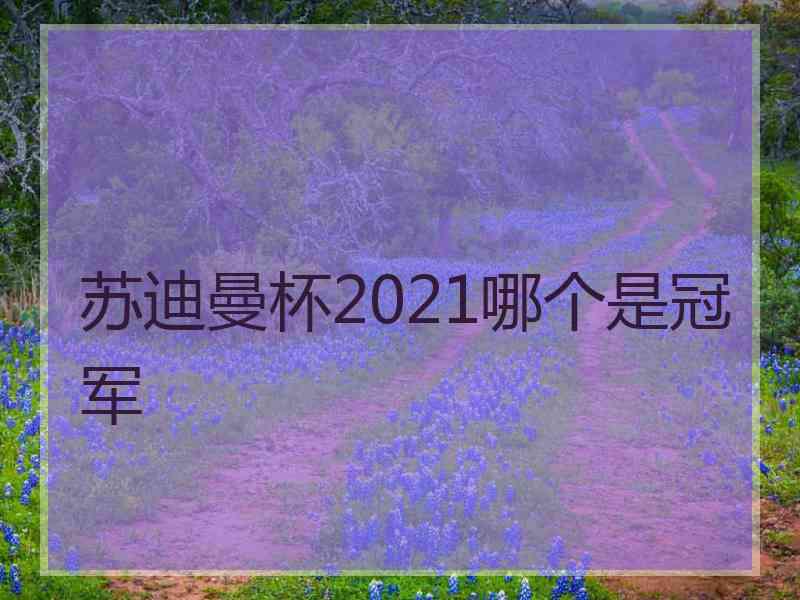 苏迪曼杯2021哪个是冠军