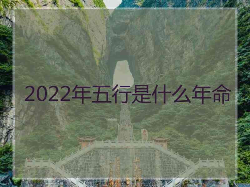 2022年五行是什么年命