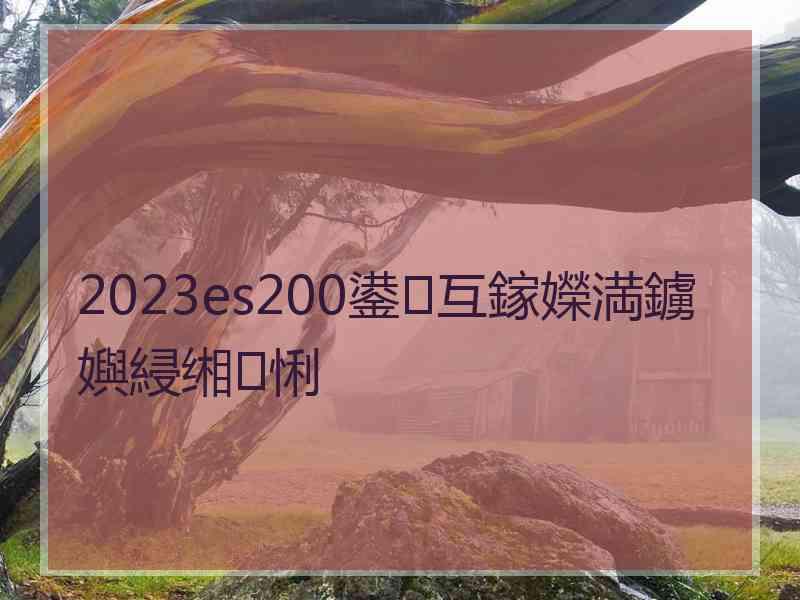 2023es200鍙互鎵嬫満鐪嬩綅缃悧