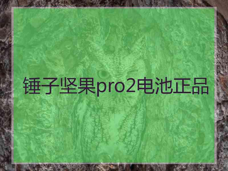 锤子坚果pro2电池正品