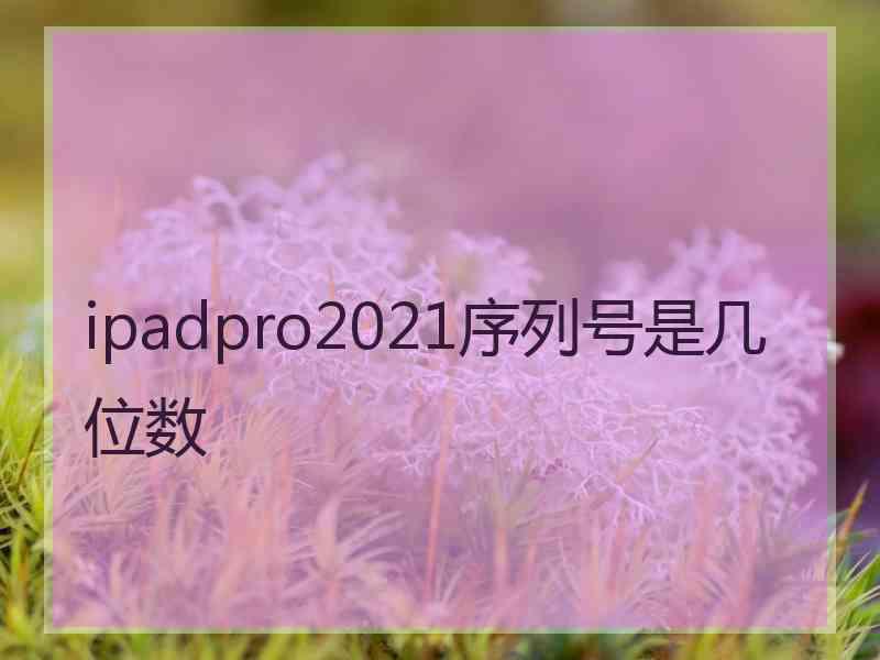 ipadpro2021序列号是几位数