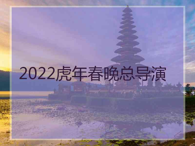 2022虎年春晚总导演