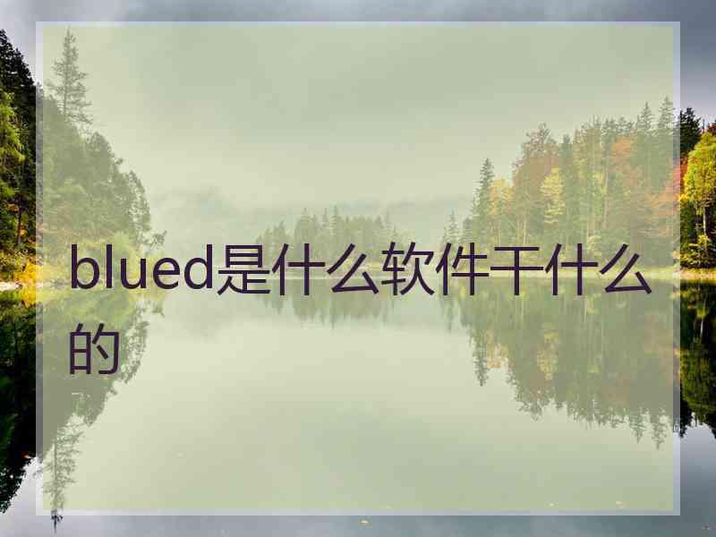 blued是什么软件干什么的