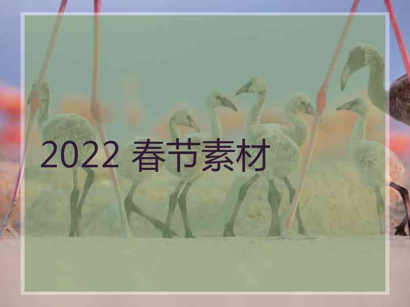 2022 春节素材