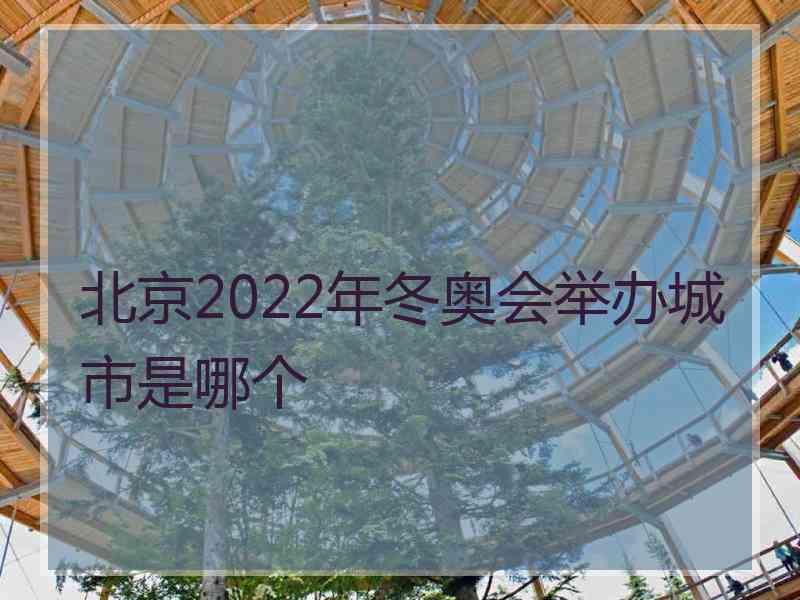 北京2022年冬奥会举办城市是哪个