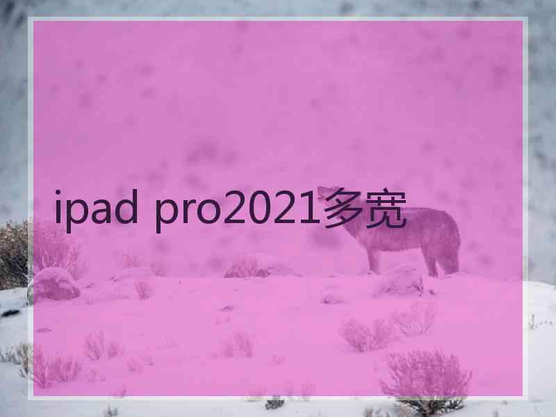 ipad pro2021多宽