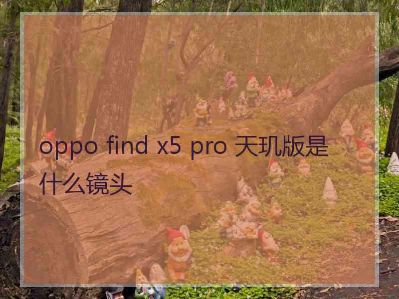 oppo find x5 pro 天玑版是什么镜头