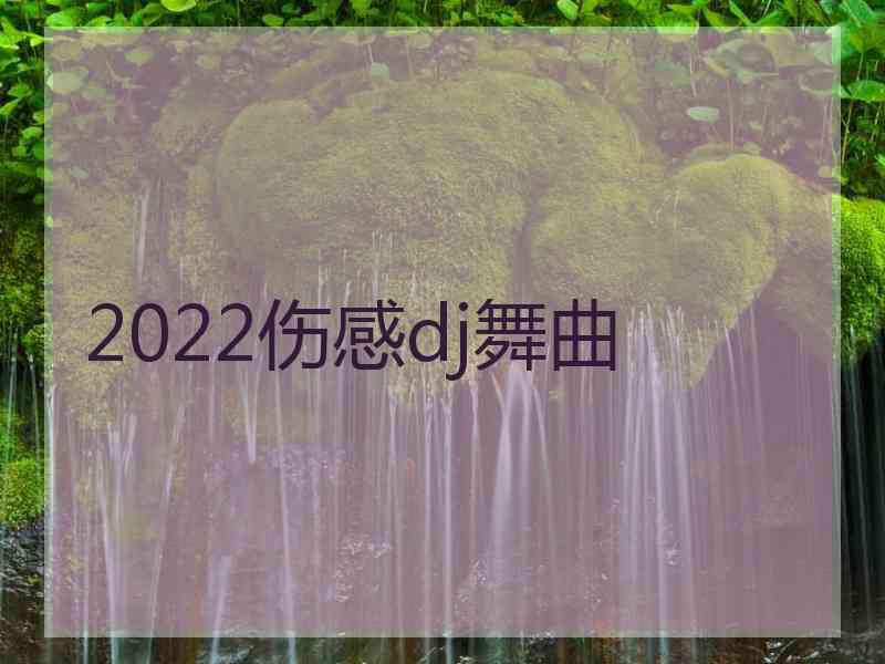 2022伤感dj舞曲