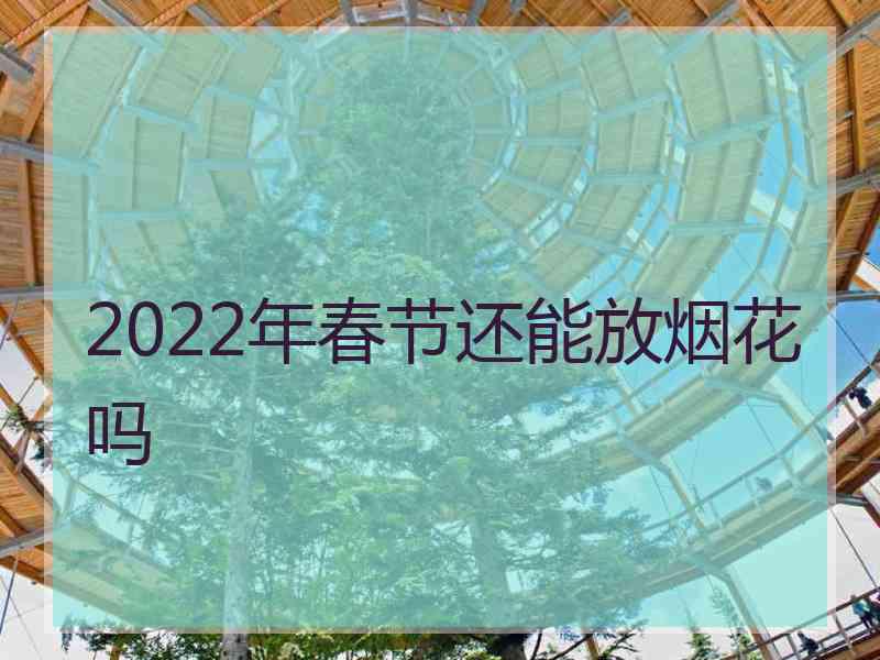 2022年春节还能放烟花吗