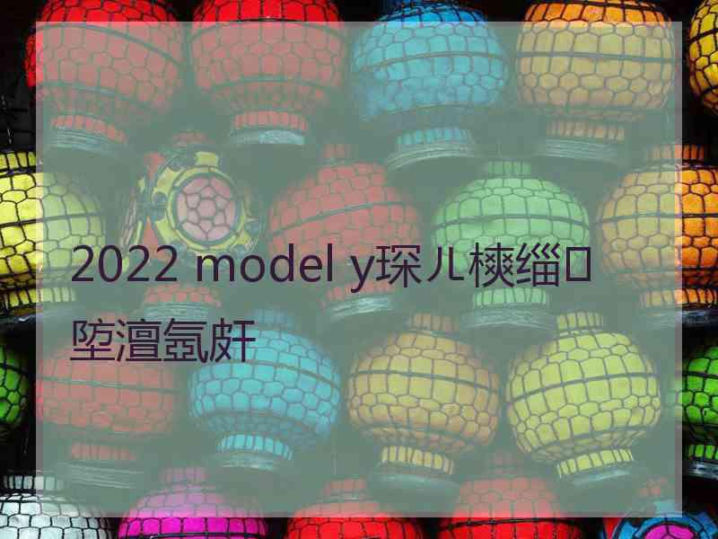 2022 model y琛ㄦ樉缁埅澶氬皯