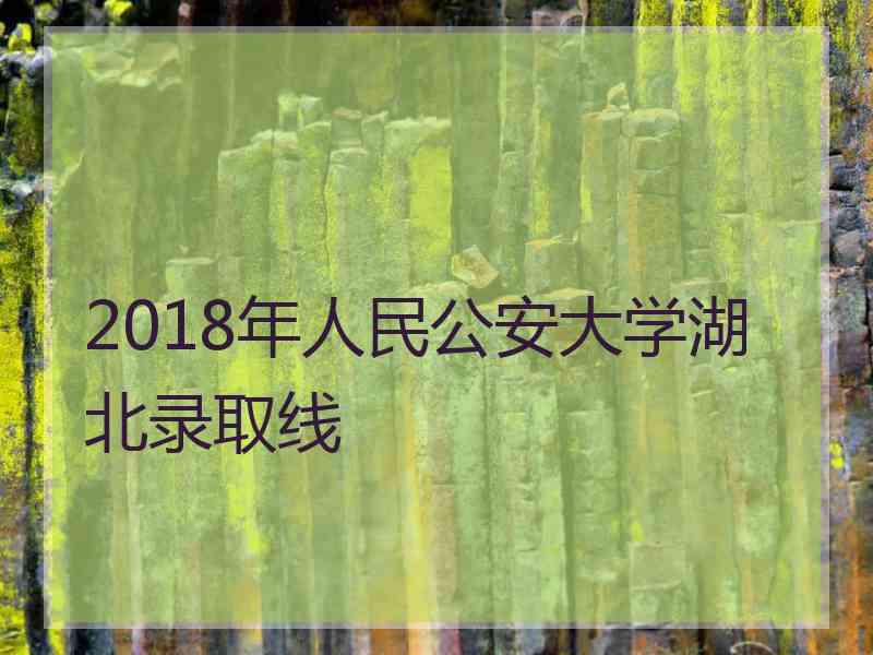 2018年人民公安大学湖北录取线