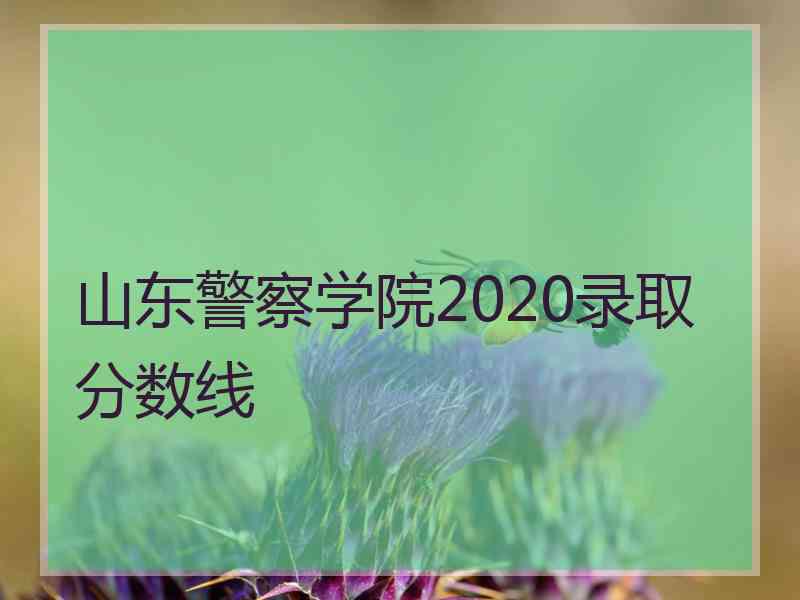 山东警察学院2020录取分数线