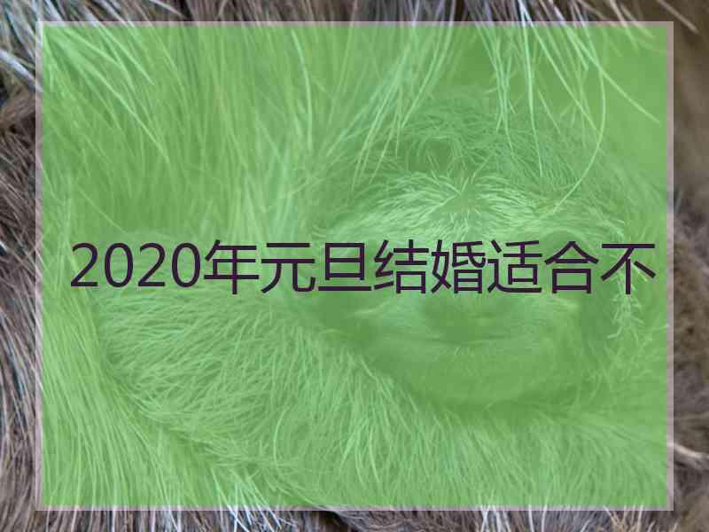 2020年元旦结婚适合不