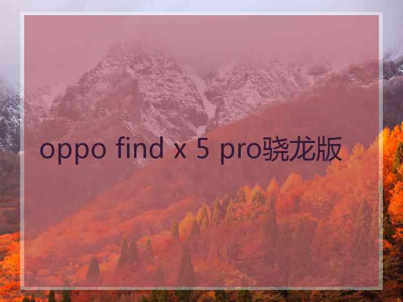 oppo find x 5 pro骁龙版