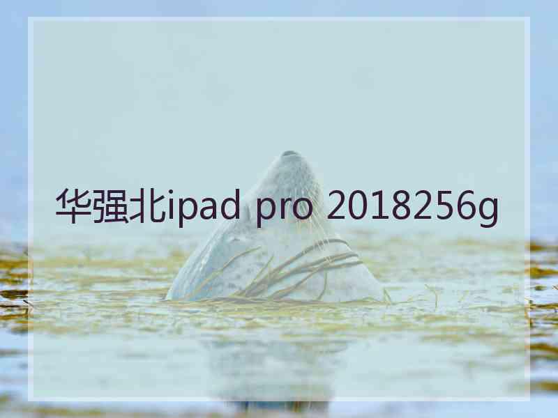 华强北ipad pro 2018256g