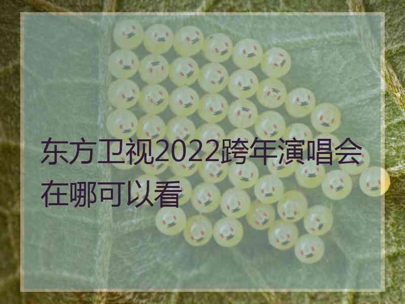 东方卫视2022跨年演唱会在哪可以看