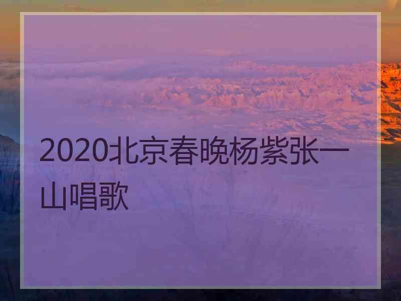 2020北京春晚杨紫张一山唱歌