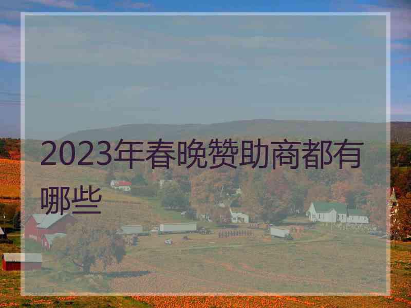 2023年春晚赞助商都有哪些