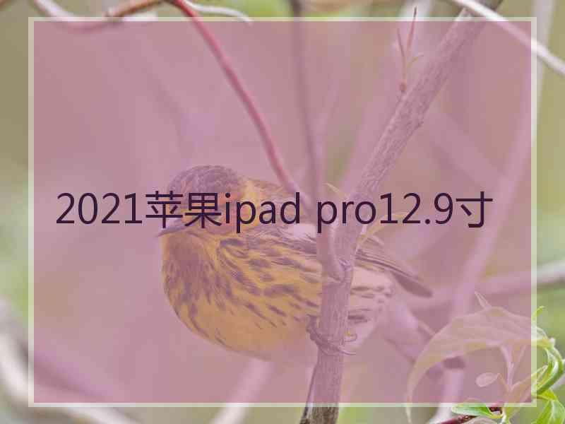 2021苹果ipad pro12.9寸