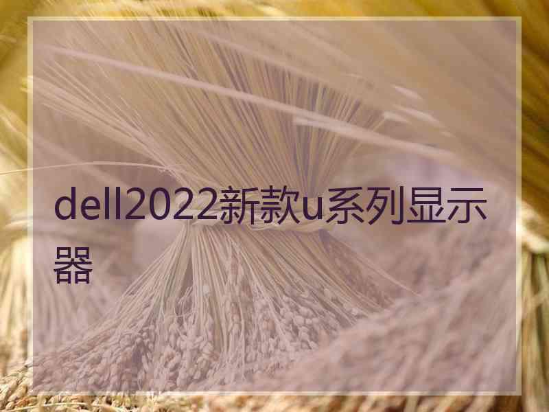 dell2022新款u系列显示器