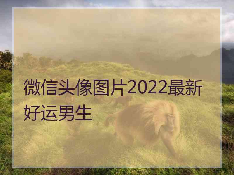 微信头像图片2022最新好运男生