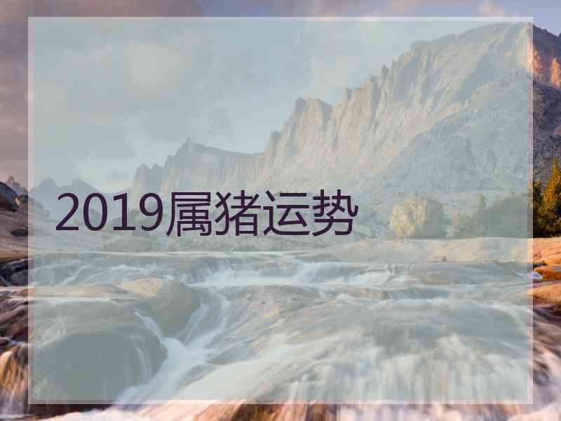 2019属猪运势