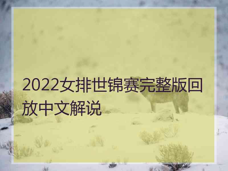 2022女排世锦赛完整版回放中文解说