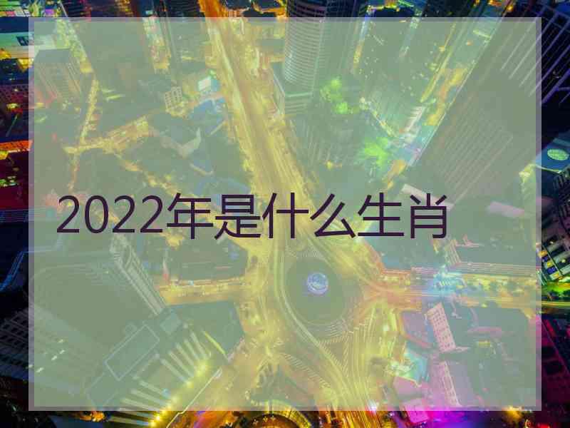 2022年是什么生肖