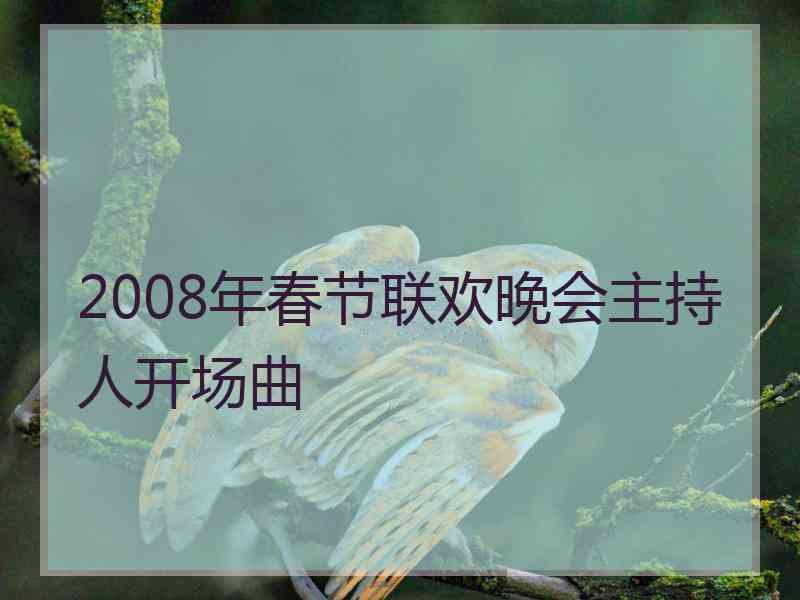 2008年春节联欢晚会主持人开场曲