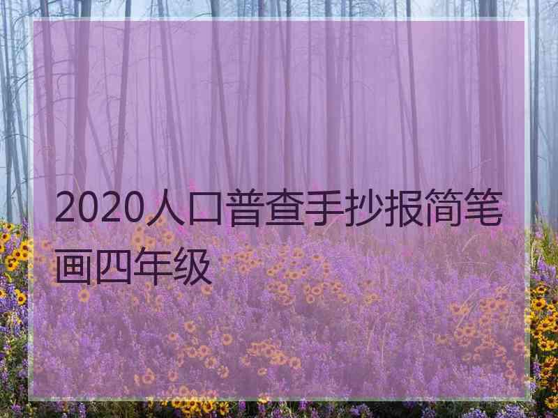 2020人口普查手抄报简笔画四年级