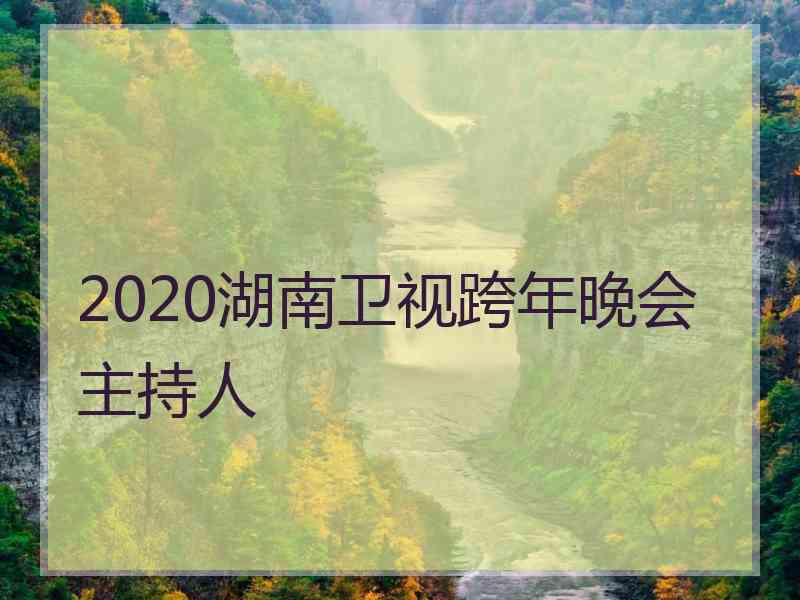 2020湖南卫视跨年晚会主持人